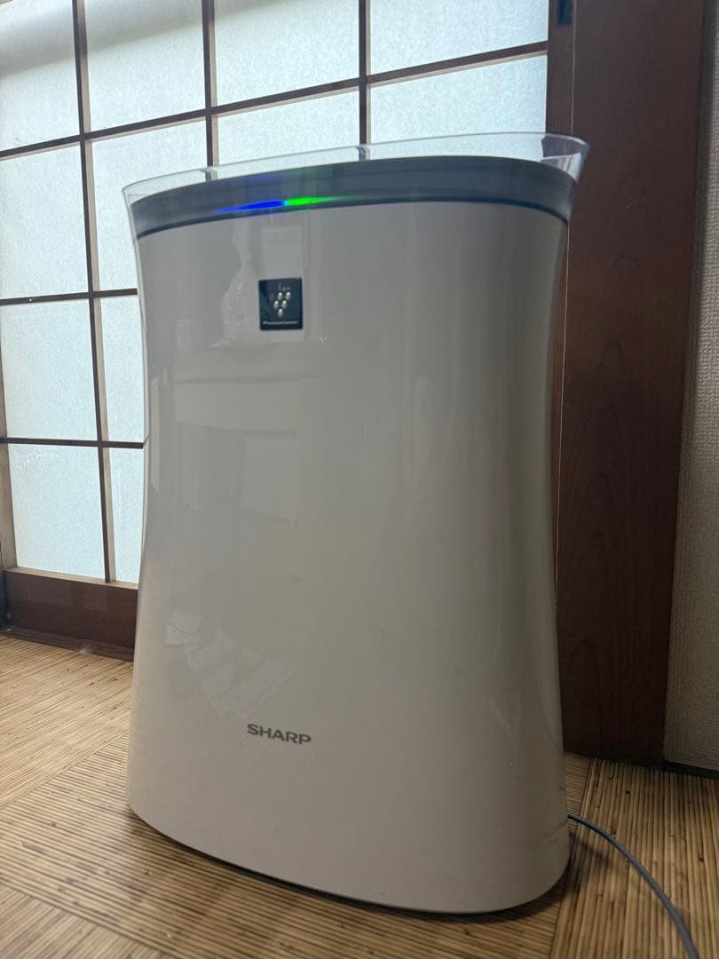 2024年製 SHARP FU-R50-W 空気清浄機