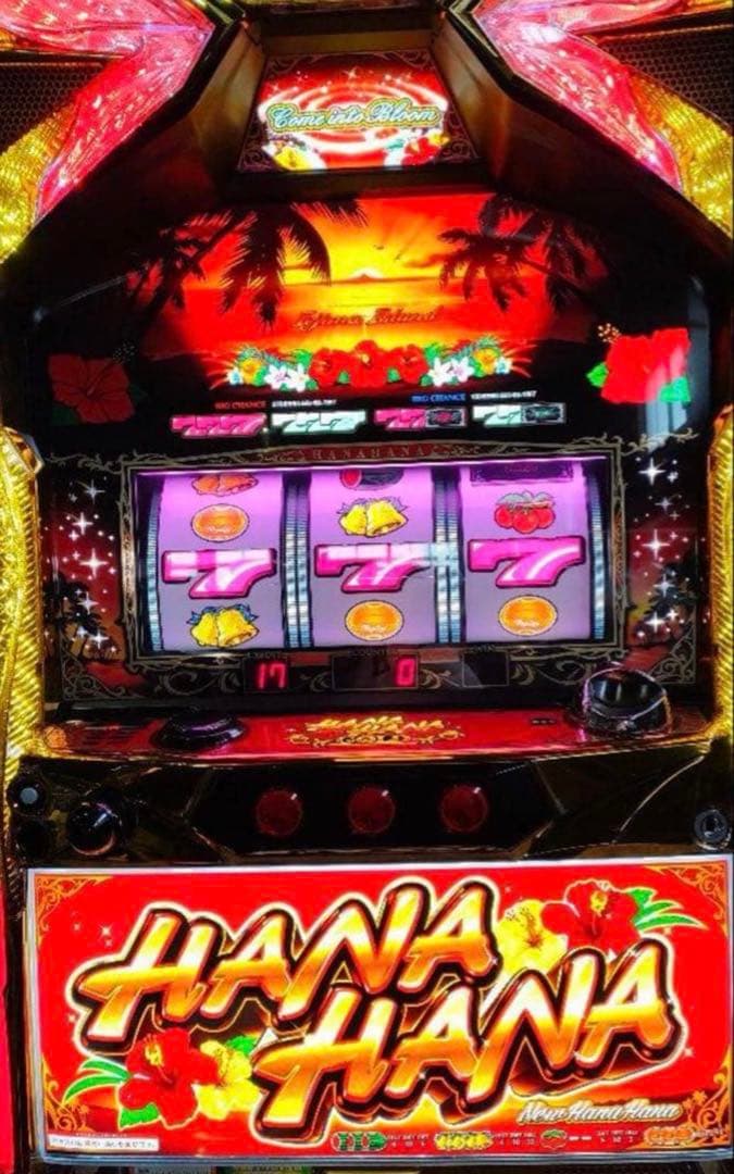 ニューハナハナゴールド-30 データカウンター付き実機　【取引限定】