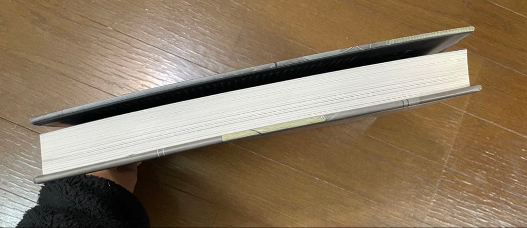 Jasper Johns A Retrospective MoMA 回顧録　新品