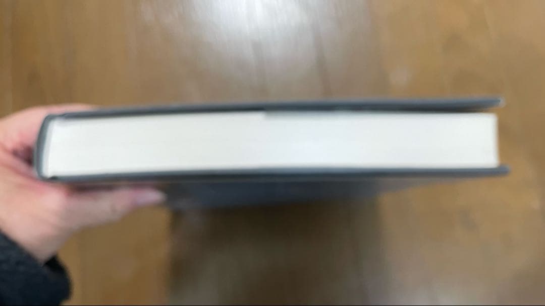 Jasper Johns A Retrospective MoMA 回顧録　新品