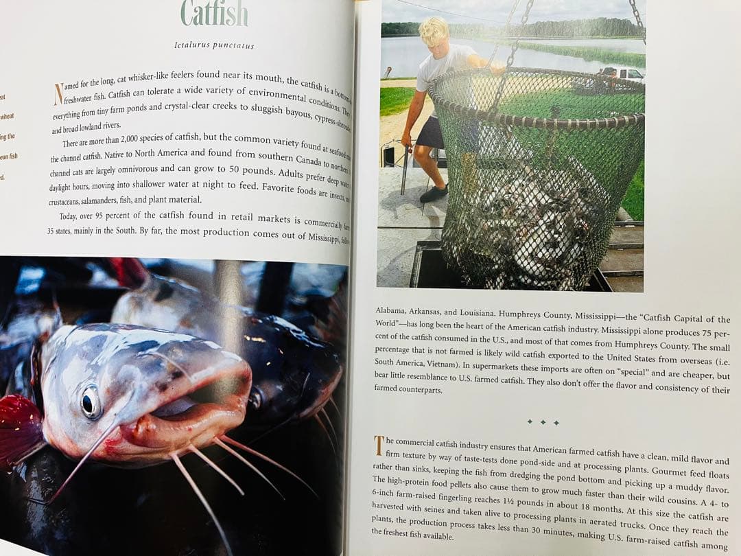 Ocean Friendly Cuisine シーフード　料理　レシピ　洋書