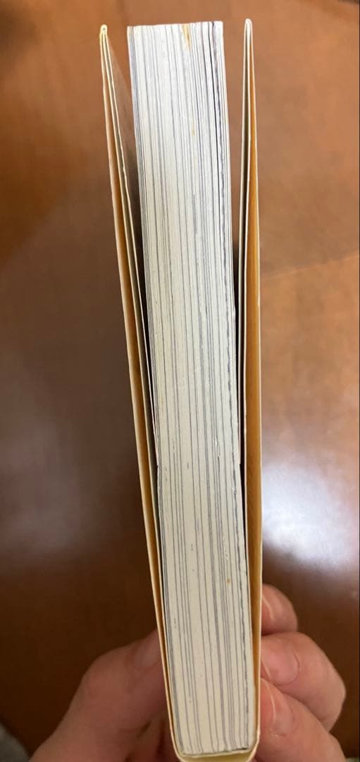 戦国姫　他　セット