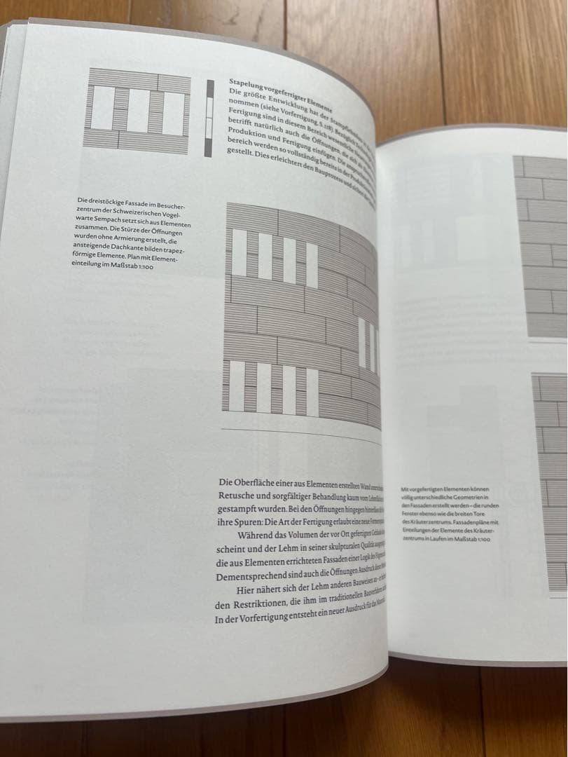 超希少 建築 Martin Rauch マルティンラオホ 作品集 ドイツ語