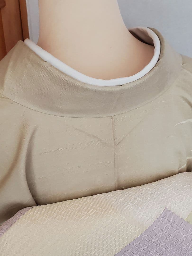 【逸品＊】紬の訪問着　染め紬　小糸染芸