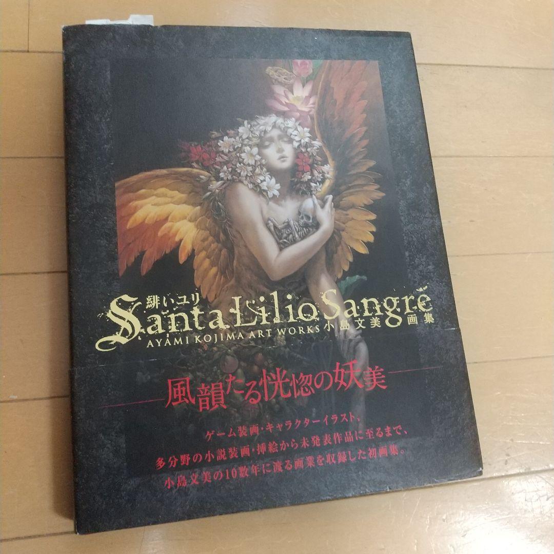 【小島文美】Santa Lilio Sangre　緋いユリ 画集