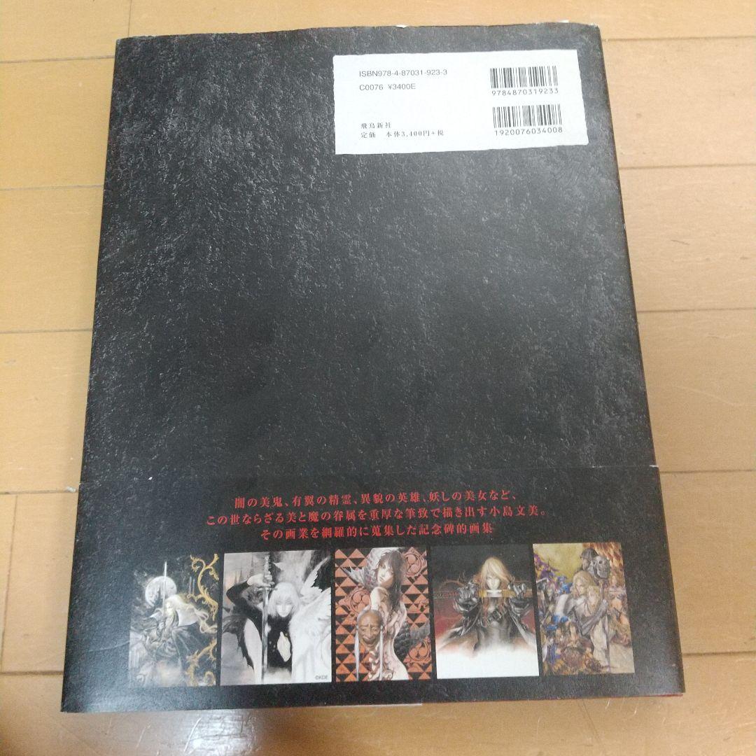 【小島文美】Santa Lilio Sangre　緋いユリ 画集