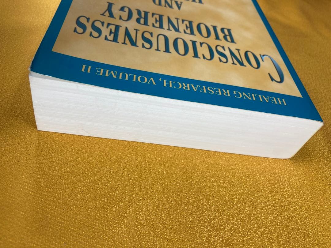 洋書 CONSCIOUSNESS BIOENERGY AND HEALING