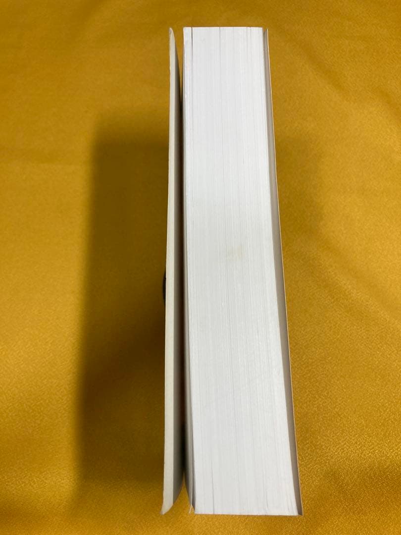 洋書 CONSCIOUSNESS BIOENERGY AND HEALING