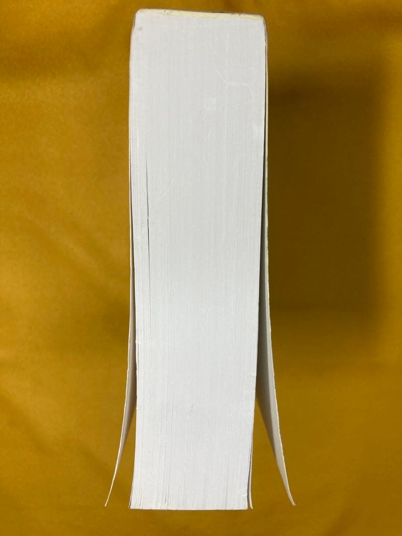 洋書 CONSCIOUSNESS BIOENERGY AND HEALING