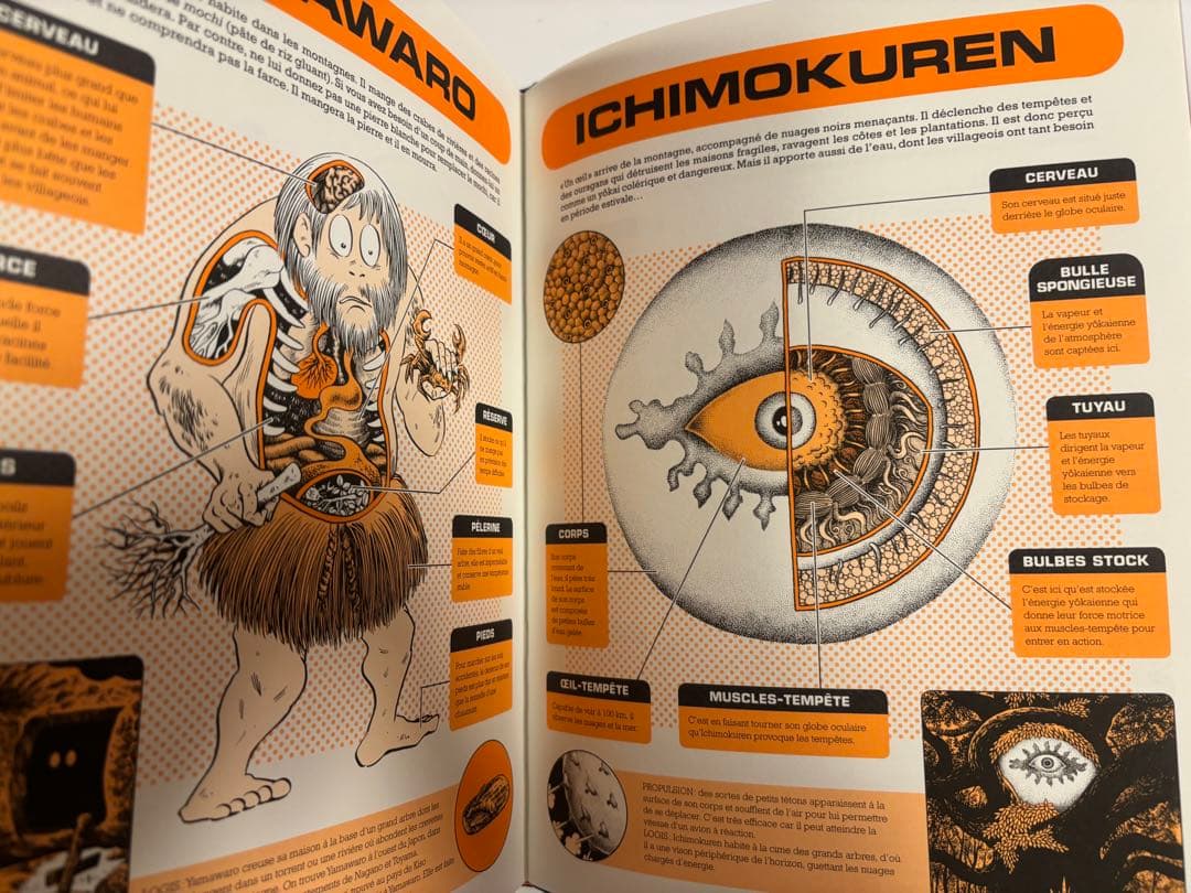 水木しげる　洋書　YOKAI