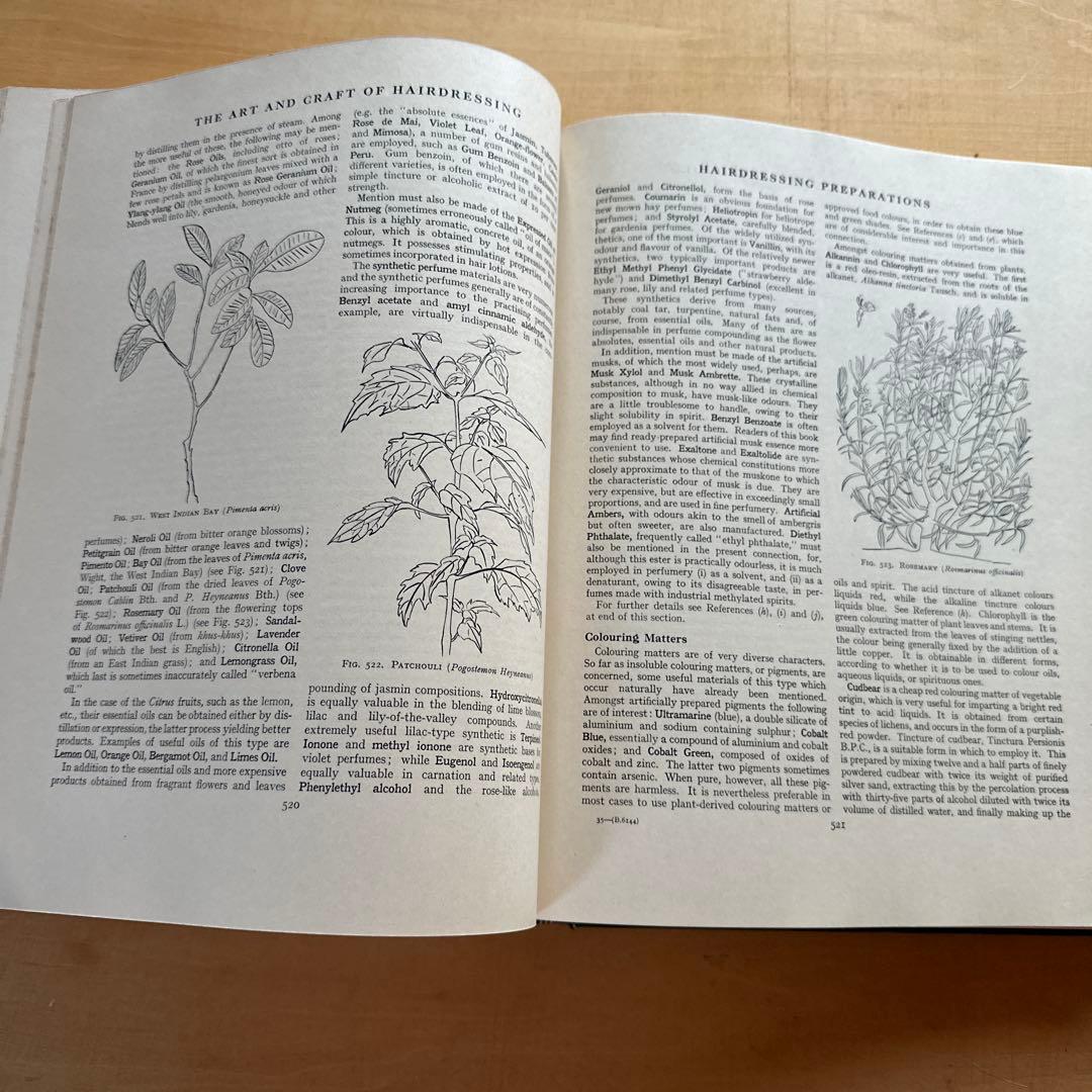 THE ART AND CRAFT OF HAIRDRESSING 1963年