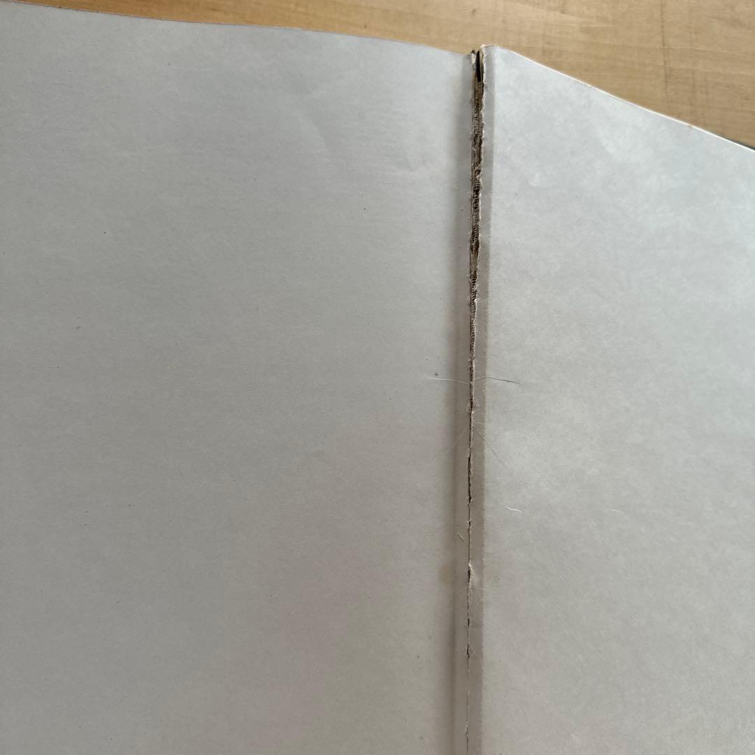 THE ART AND CRAFT OF HAIRDRESSING 1963年