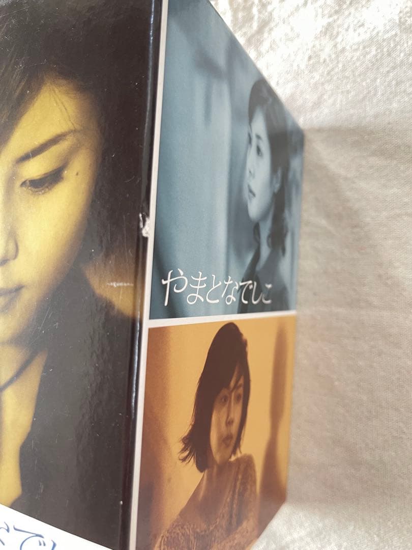 やまとなでしこ DVD ボックスセット