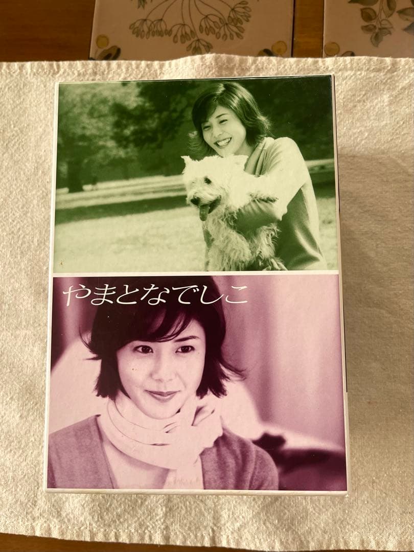 やまとなでしこ DVD ボックスセット