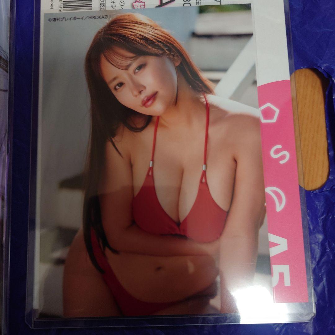 週刊プレイボーイno.49 井口裕香サイン入り