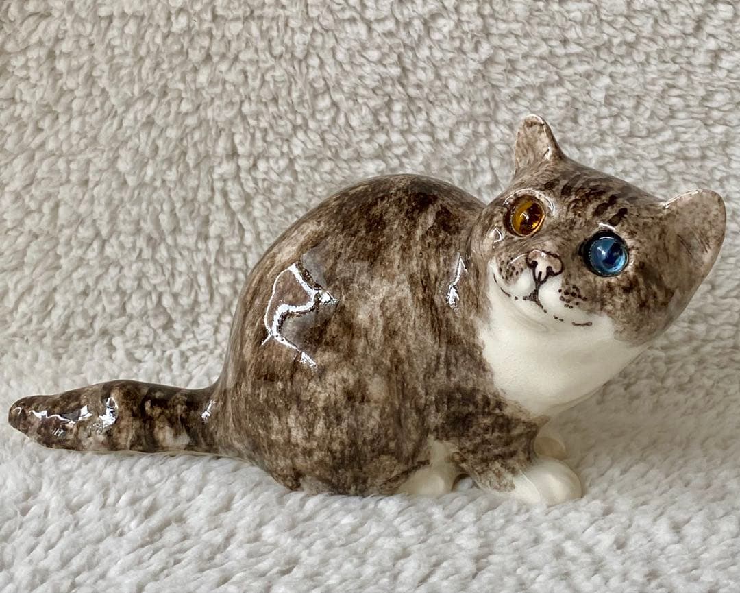 ウィンスタンレイキャット　ケンジントンキャット　丸まり猫　オッドアイ　サイズ2