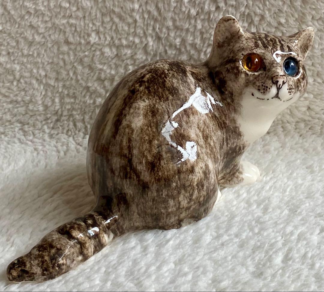 ウィンスタンレイキャット　ケンジントンキャット　丸まり猫　オッドアイ　サイズ2