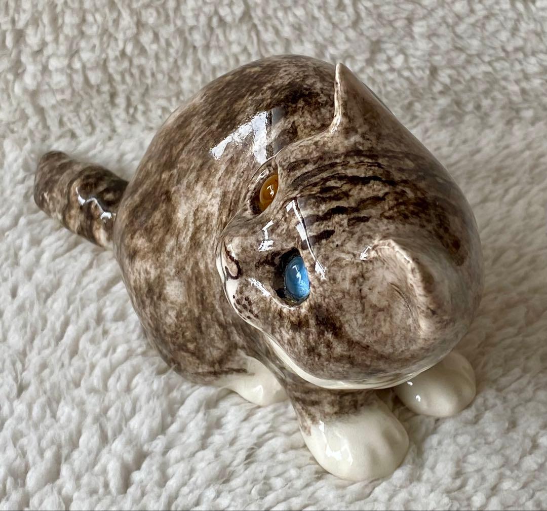 ウィンスタンレイキャット　ケンジントンキャット　丸まり猫　オッドアイ　サイズ2