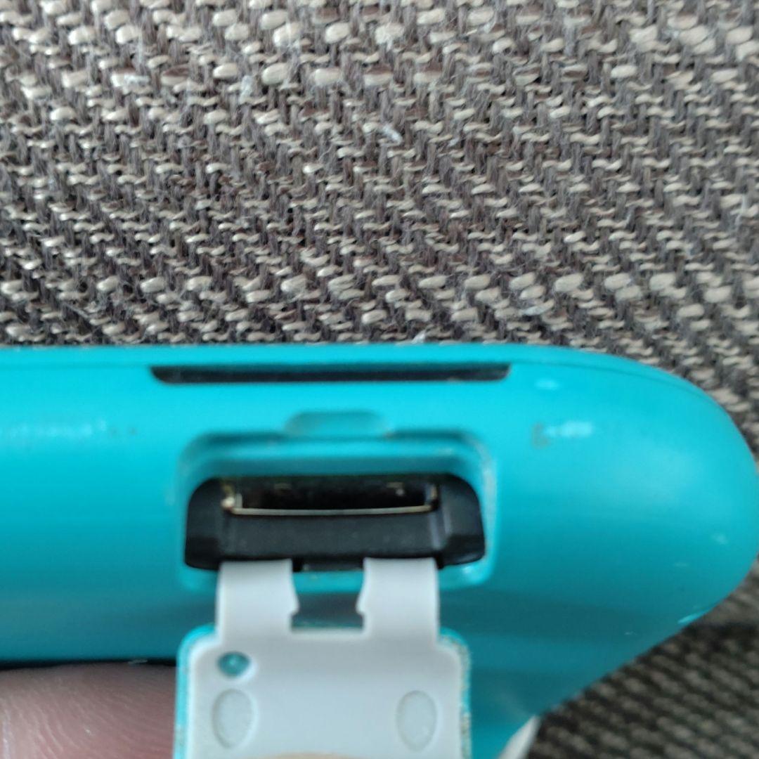 Switchライト　本体