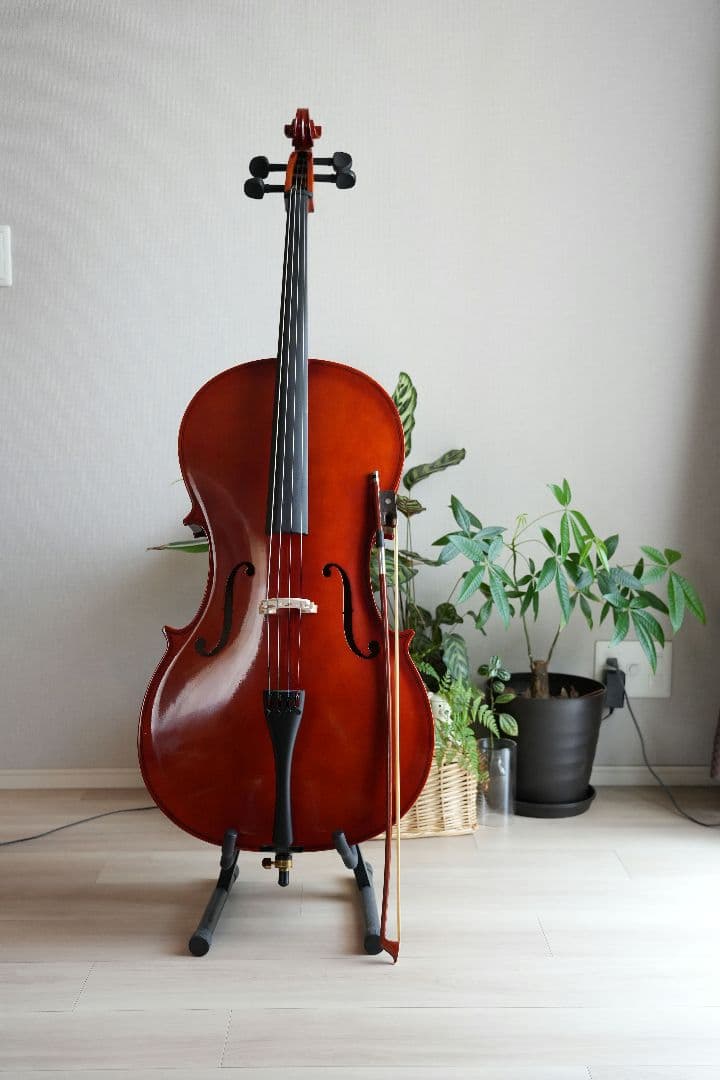 チェロ Altezza アルテッツァ No.45 4/4