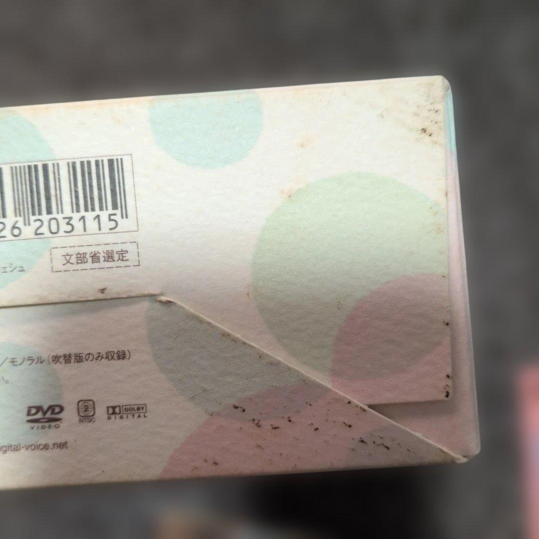 世界一のおてんばボックス