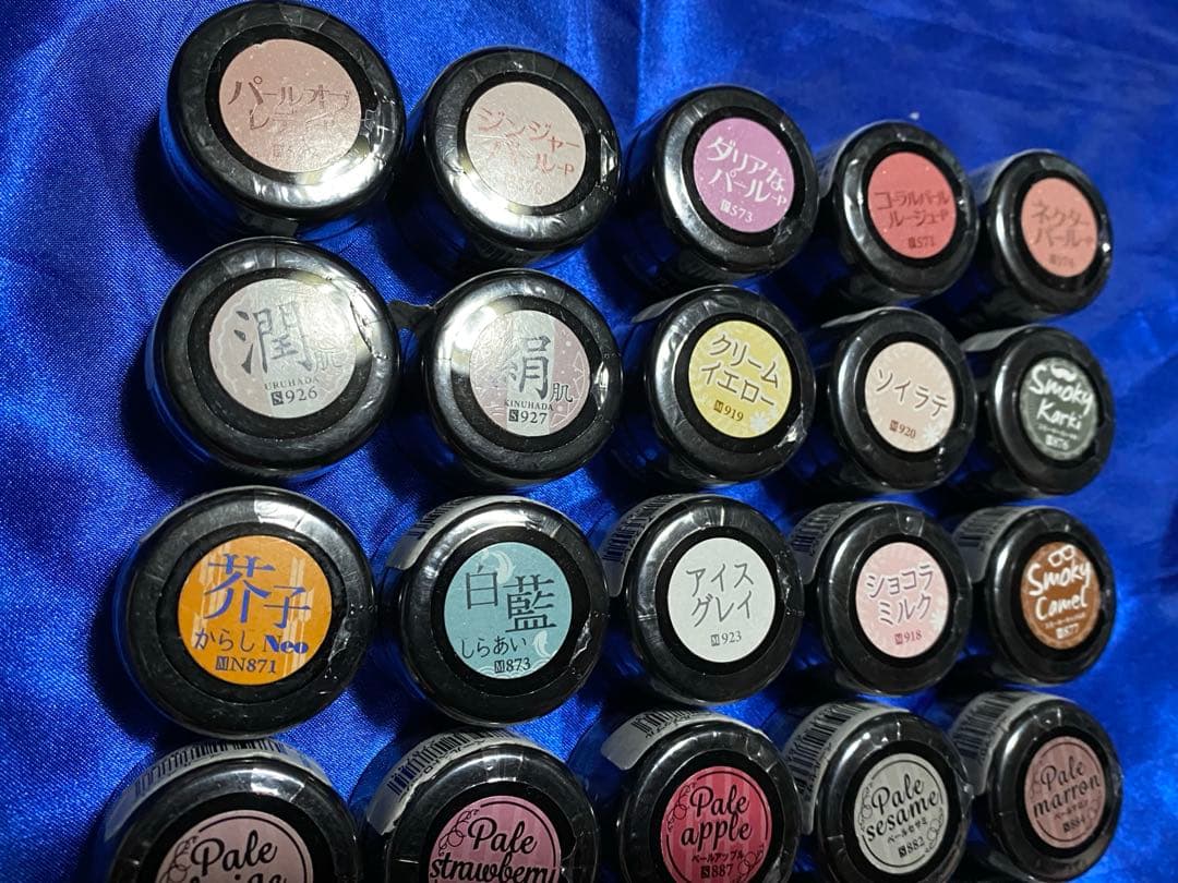 プリジェルカラーEX 30個セット ①