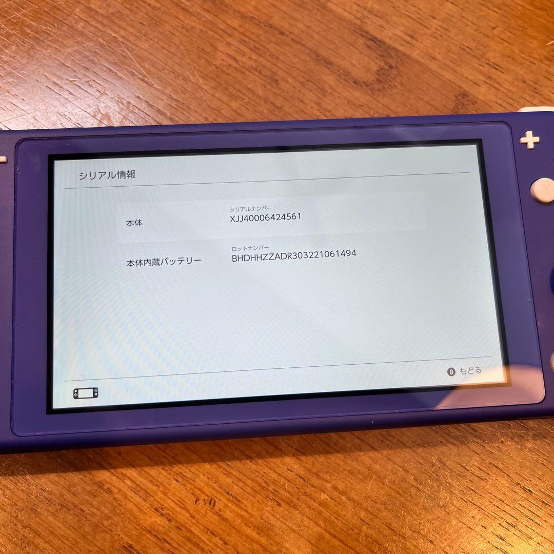【美品】Nintendo Switch Lite Minecraftケース付き