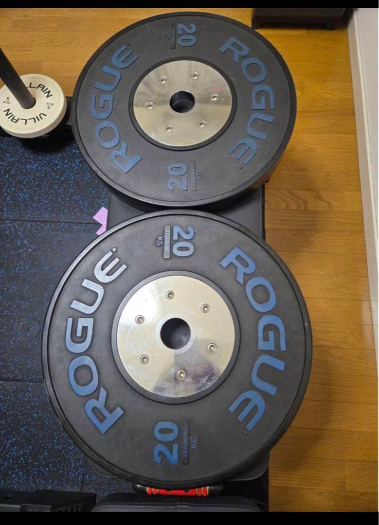 rogueバンパープレート20kg①
