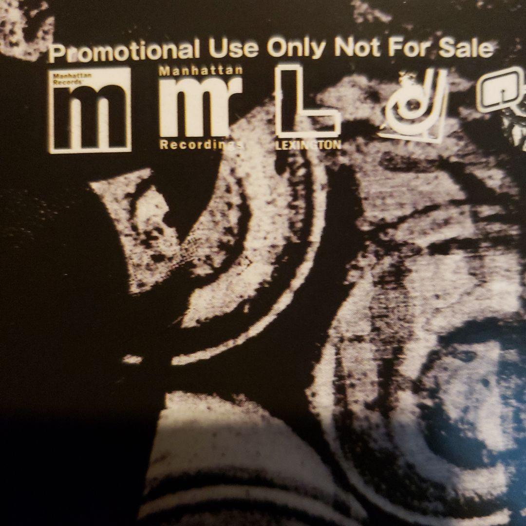 希少 国内プロモ 非売品 underslowjams Fishmans