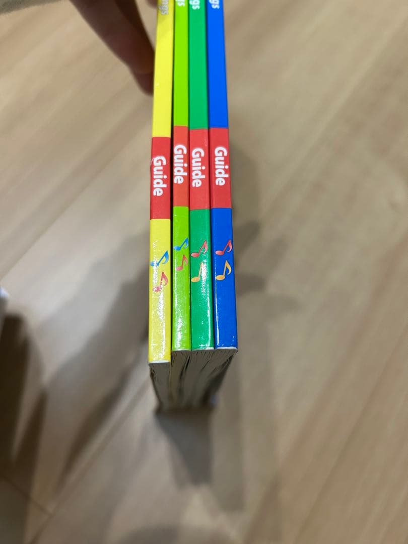 ディズニー　英語システム　DWE シングアロング　DVD