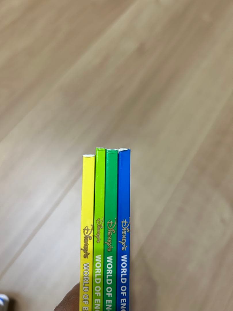 ディズニー　英語システム　DWE シングアロング　DVD