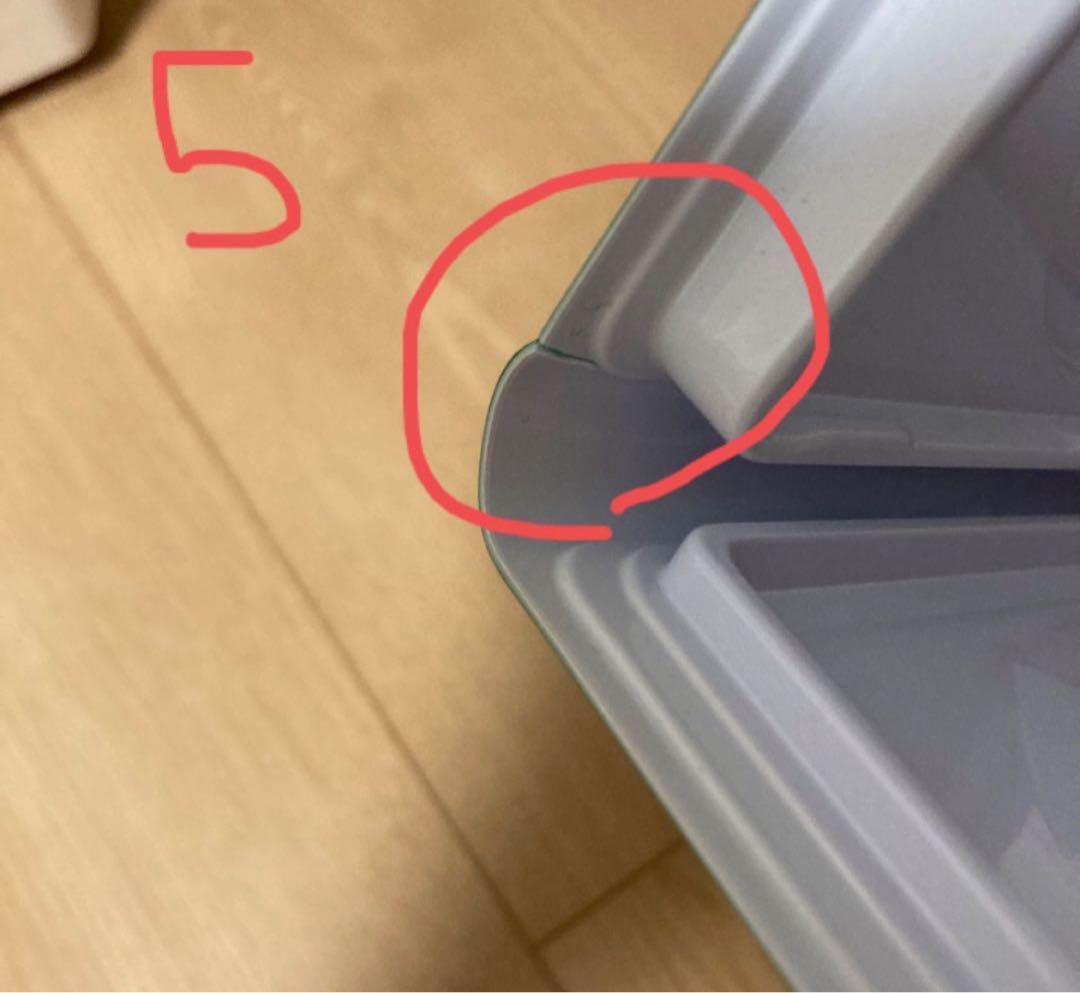 ディズニー　英語システム　DWE シングアロング　DVD