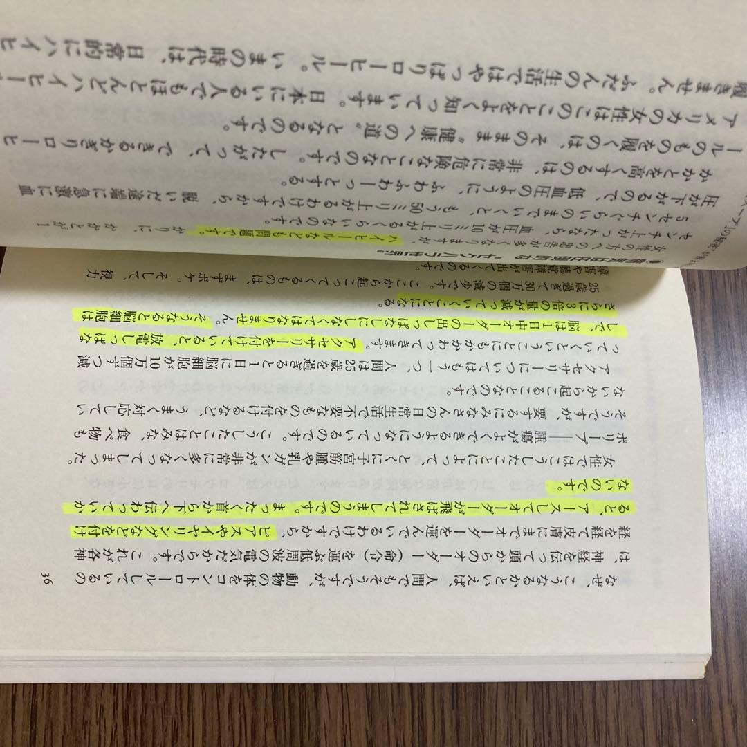 元祖 野菜スープ強健法 立石 和　（書き込みあり）ガン細胞も3日で消えた!?