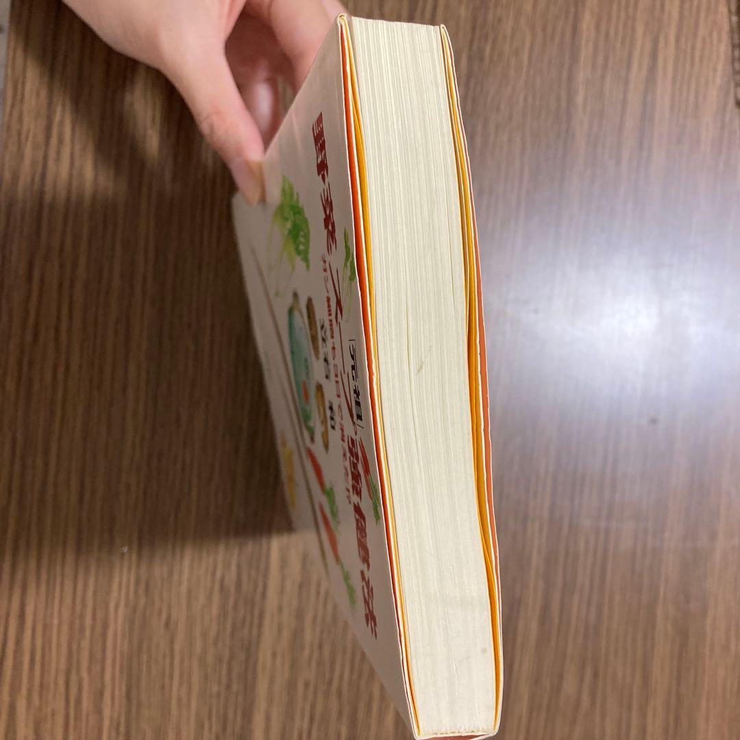 元祖 野菜スープ強健法 立石 和　（書き込みあり）ガン細胞も3日で消えた!?