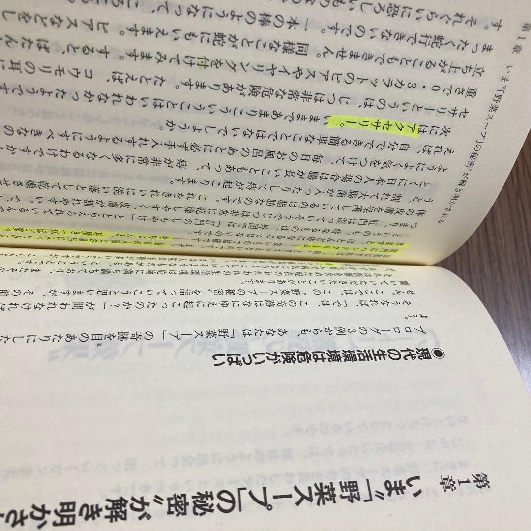 元祖 野菜スープ強健法 立石 和　（書き込みあり）ガン細胞も3日で消えた!?