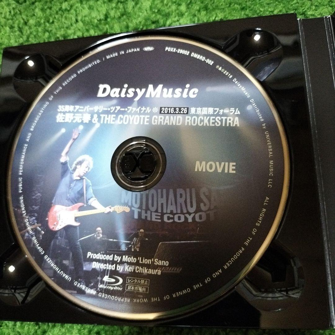 P*2様 佐野元春/佐野元春&THE COYOTE GRAND ROCKESTR