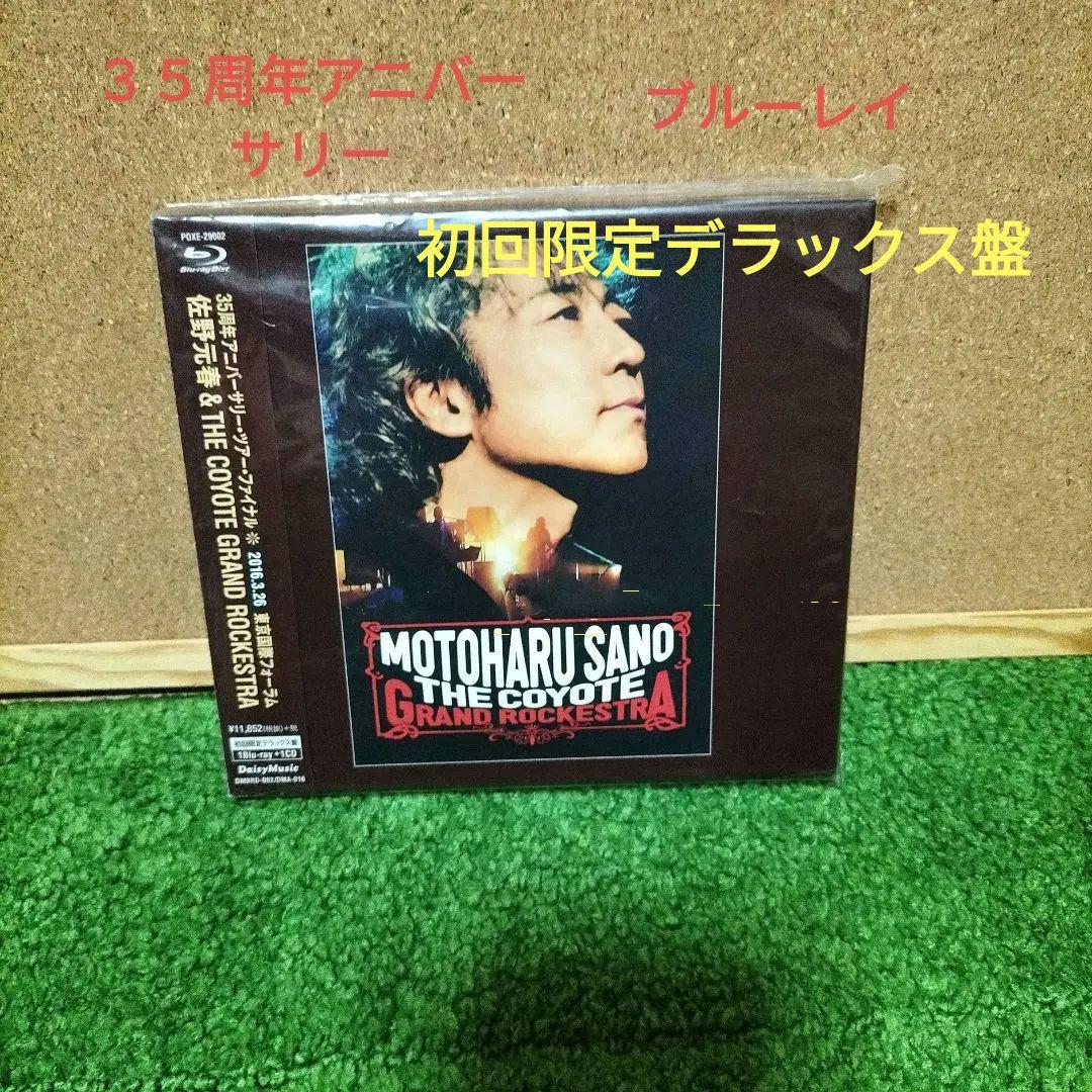 P*2様 佐野元春/佐野元春&THE COYOTE GRAND ROCKESTR