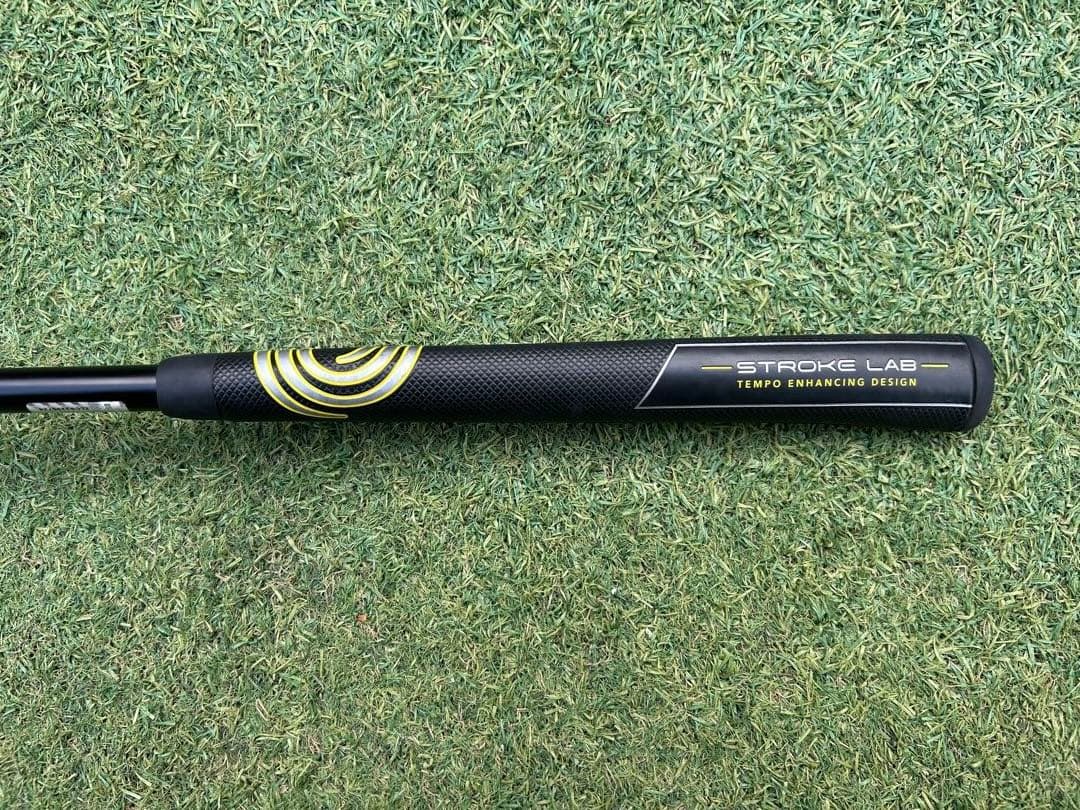 オデッセイ　ストロークラボ　ブラックシリーズ　BIRD OF PREY パター