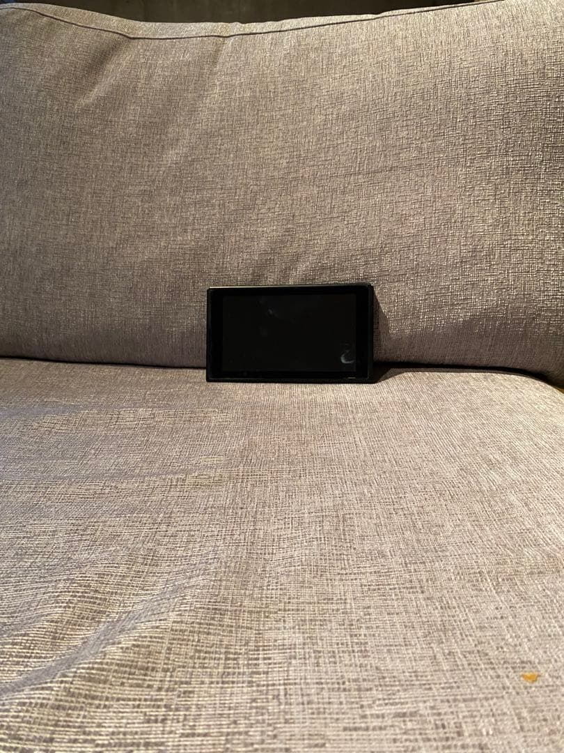 Nintendo Switch 本体 初期型 充電器付き、ケース付き