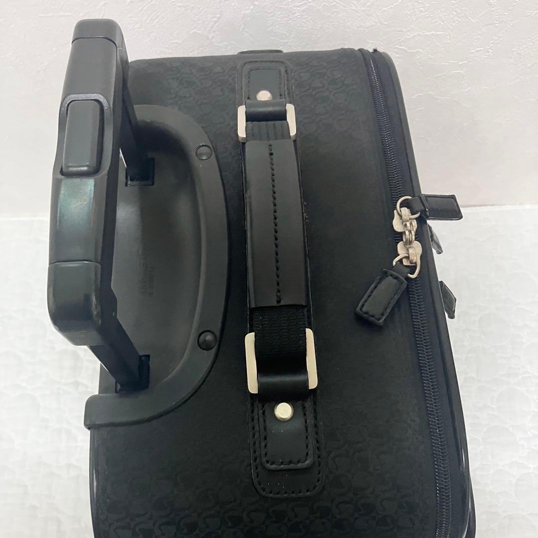 【希少】SWANY スワニー キャリーバッグ 機内持込 千鳥柄