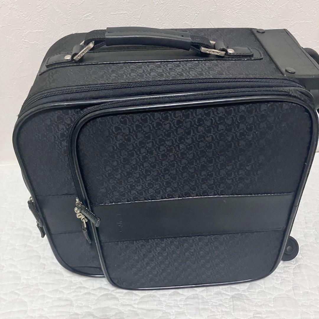 【希少】SWANY スワニー キャリーバッグ 機内持込 千鳥柄