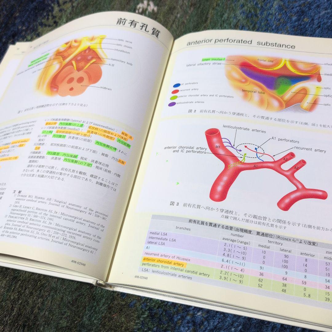 臨床のための脳局所解剖学