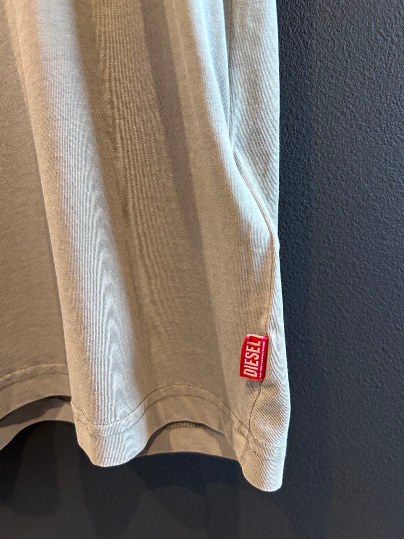 DIESEL T-Boxt-SI-R1 25SS スリーブレストップ