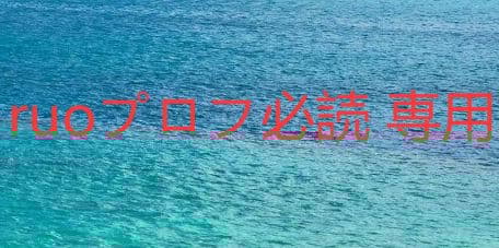 ruoプロフ必読 専用6本