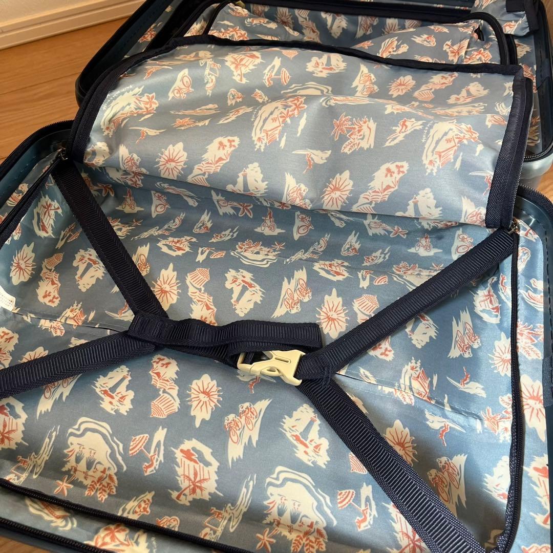 HaNT mine スーツケース 33L 機内持込可能 4輪 ACE ハント