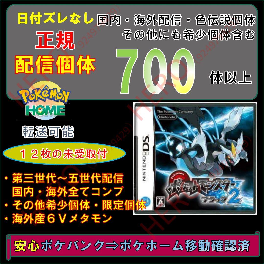 林龍輝 　ブラック2　サン