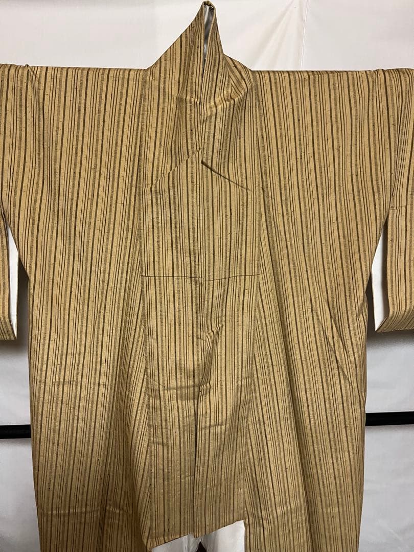 ⭐️早い者勝ち⭐️【国宝品】⭐️国指定重要無形文化財⭐️【久米島紬】⭐️手引真綿⭐️紬⭐️着物