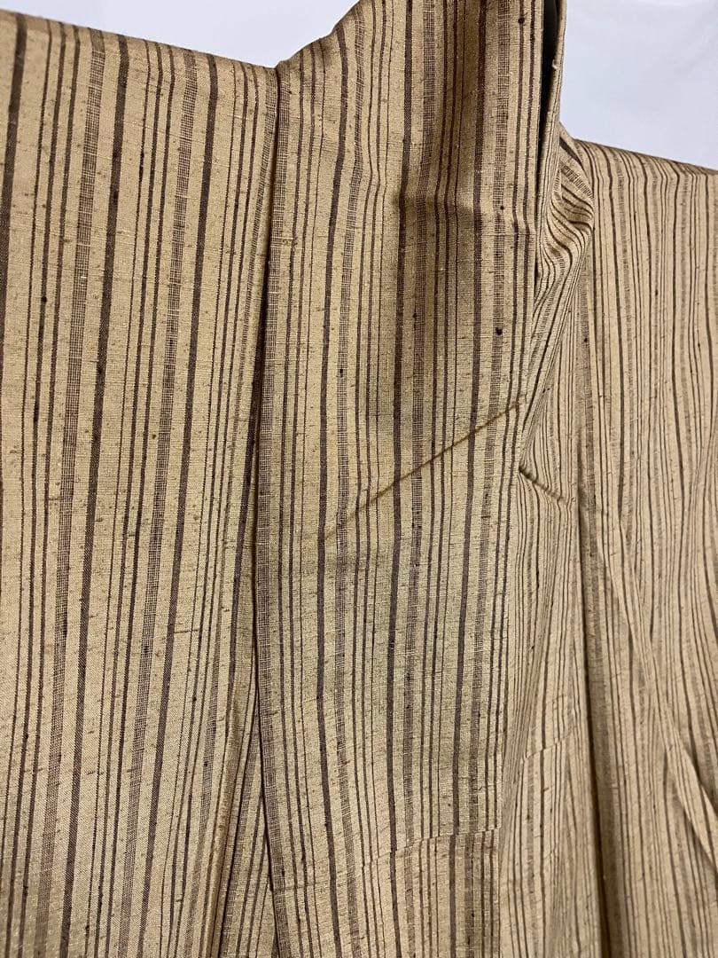 ⭐️早い者勝ち⭐️【国宝品】⭐️国指定重要無形文化財⭐️【久米島紬】⭐️手引真綿⭐️紬⭐️着物