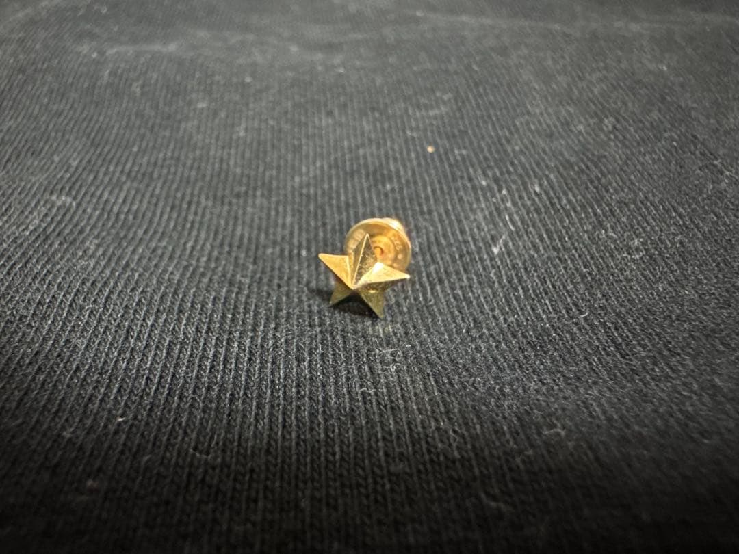 アクセサリー careering DELUXE stardust(18K)