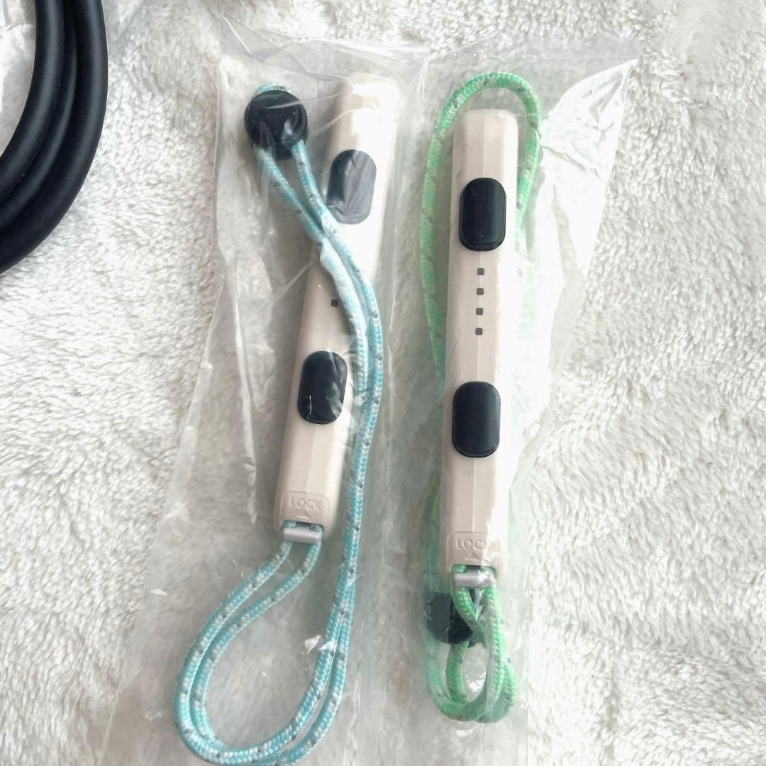 Nintendo Switch あつまれどうぶつの森セット 本体 付属品完備